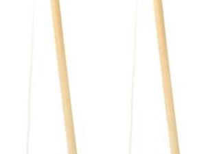 SCRATCH EUROPE Regenboog Kermiseendjes  6 stuks incl. 2 hengel